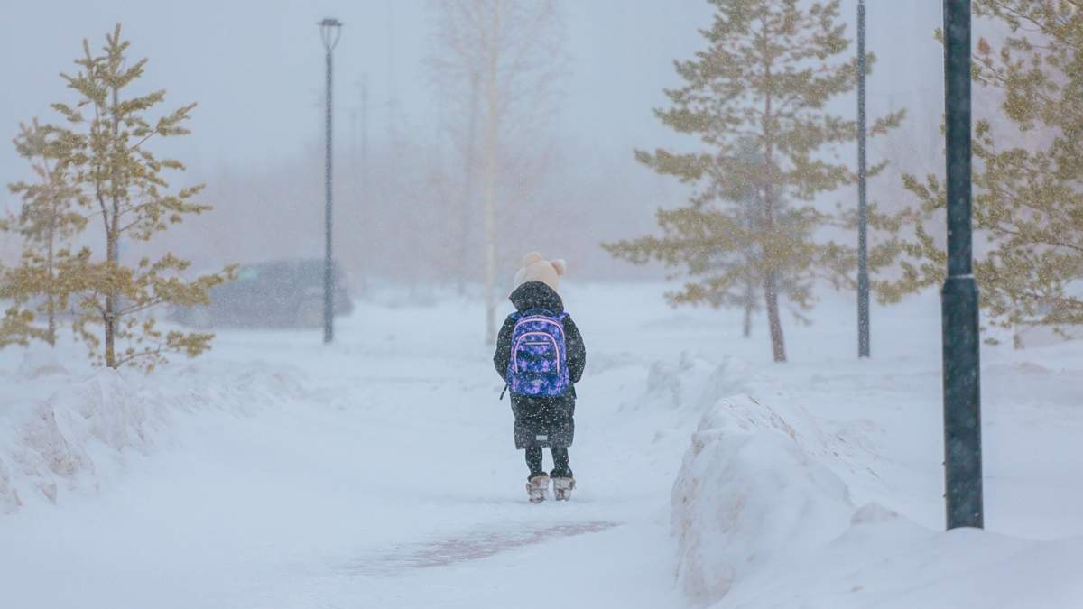 Часть учеников второй смены школ Астаны перевели на дистанционку