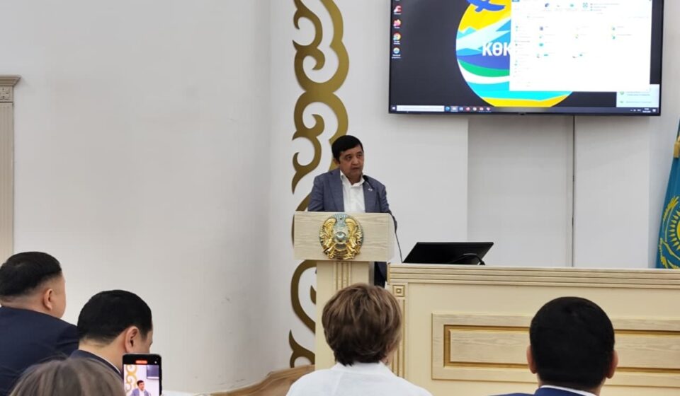 Кокшетау передаст бесхозные дома под управление к 2029 году