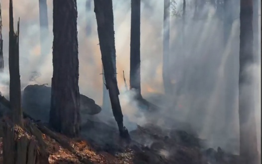 В Бурабае с вертолета сбросили 75 тонн воды
